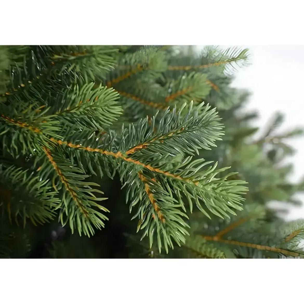 Albero di Natale 240 cm Verde PE PVC Effetto Realistico Base 157 cm