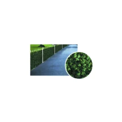 Arella Siepe Finta 1x3 Foglie Edera Sempreverde Giardino Balcone Sintetica Rete