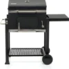 Barbecue a Carbone Carbonella Griglie in Acciaio Inox BBQ Giardino Portatile