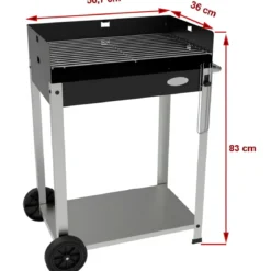 Barbecue a Carbone da Giardino Mattone Refrattario Griglia Regolabile