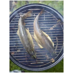 Barbecue Affumicatore a Carbone da Giardino 50x50x106 cm