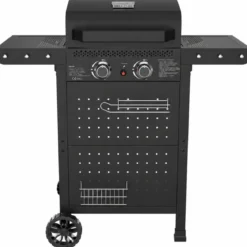 Barbecue a Gas 2 Bruciatori Acciaio Inox 5 kW Griglia in Ghisa Smaltata