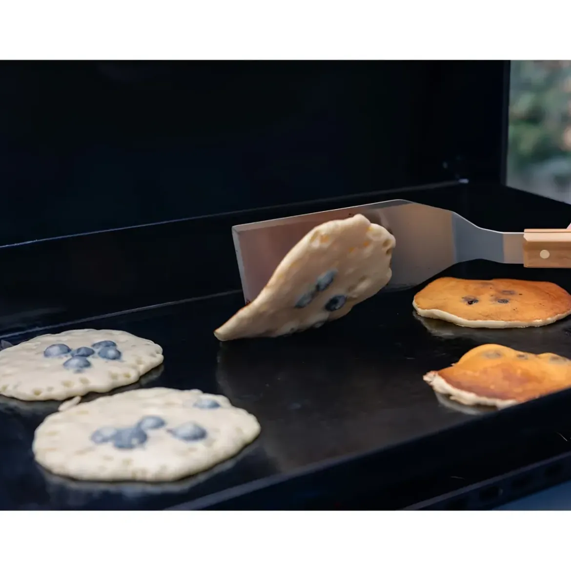 Barbecue a Gas Campignaz Plancha 65x56x31 cm 2 Fuochi Piastra Ghisa