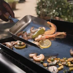 Barbecue a Gas Campignaz Plancha da Tavolo 2 Bruciatori 6kW Acciaio