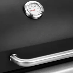 Barbecue a Gas GPL da Esterno 2 Bruciatori con Coperchio Acciaio Inox