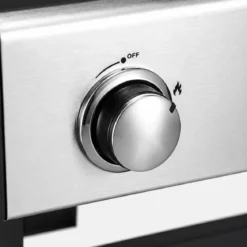 Barbecue a Gas GPL da Esterno 2 Bruciatori con Coperchio Acciaio Inox