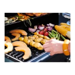 Barbecue a Gas Inox Campignaz 3 Bruciatori Piastra Griglia in Ghisa