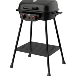 Barbecue da Esterno a Gas Griglia in Ghisa 2 Fuochi 5kW Acciaio Inox