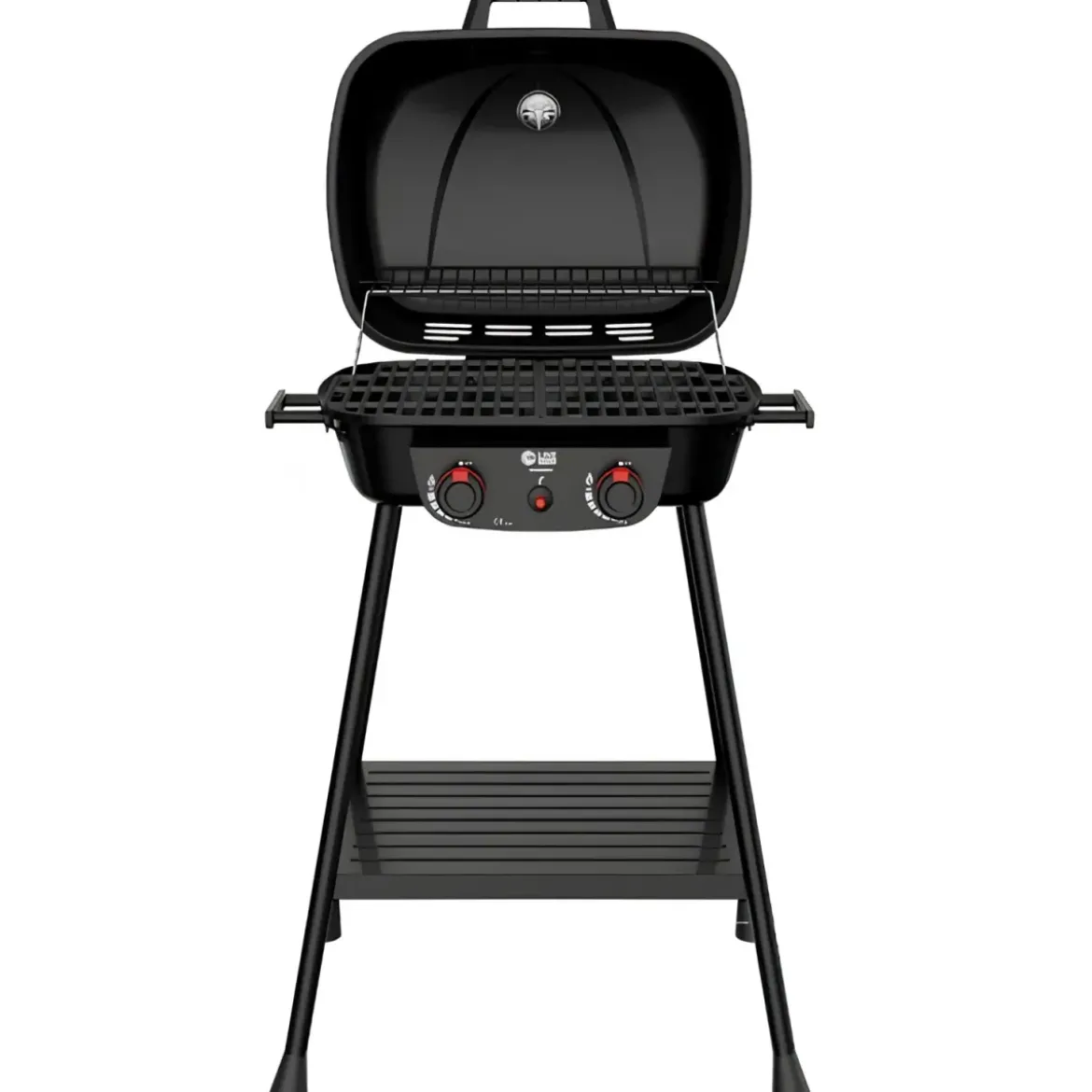 Barbecue da Esterno a Gas Griglia in Ghisa 2 Fuochi 5kW Acciaio Inox