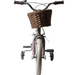 Bicicletta 16