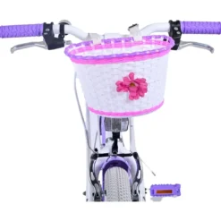 Bicicletta Bambini 20