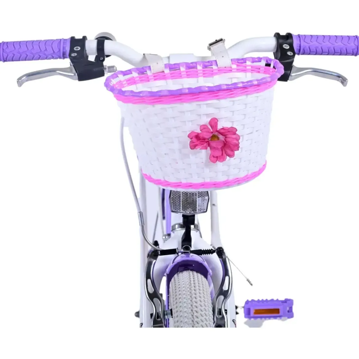Bicicletta Bambini 20" Sportiva Viola Cestino Portapacchi Cavalletto