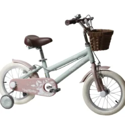 Bicicletta 14