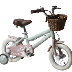 Bicicletta 12