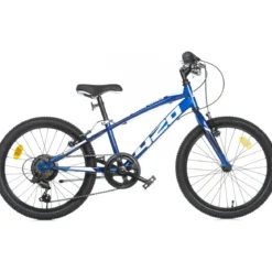 Bicicletta 20