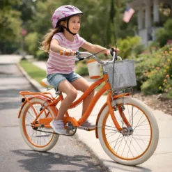 Bicicletta con Cestino Portapacchi 20