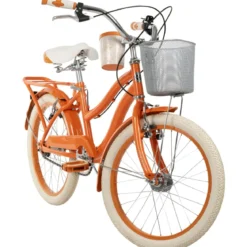 Bicicletta con Cestino Portapacchi 20