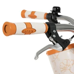 Bicicletta con Cestino Portapacchi 20