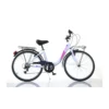 Bicicletta Ruota 24 Pollici Ragazza Donna Bici Roadster Portapacchi Bicicletta