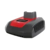 Caricabatterie Rapido 1h 40V con Indicatore LED Spina Europea