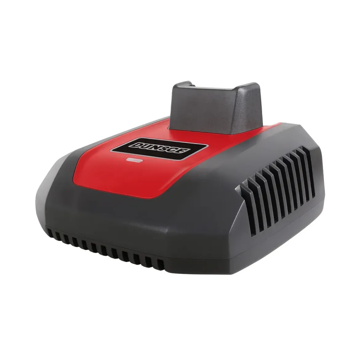 Caricabatterie Rapido 1h 40V con Indicatore LED Spina Europea