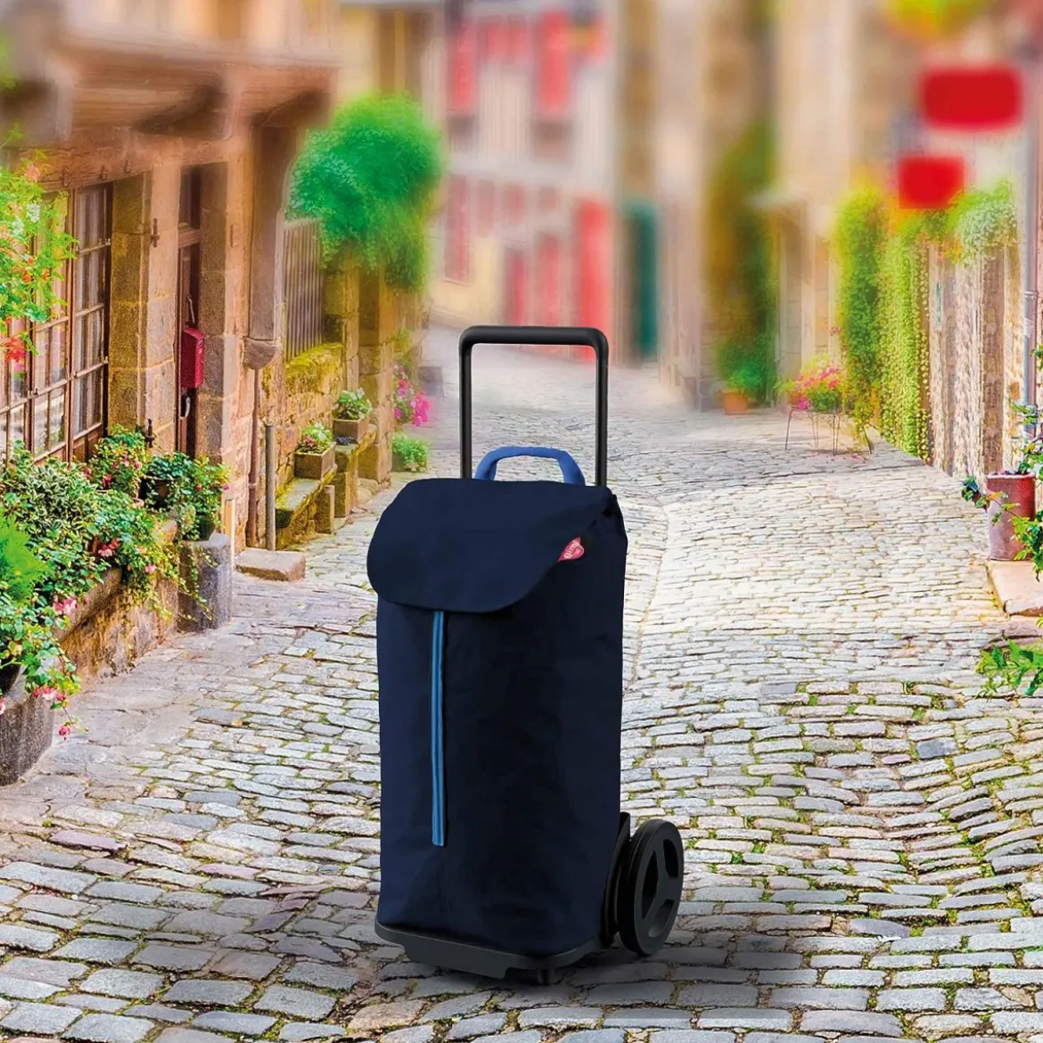 Carrello per Spesa con Sacca da 50 lt Estraibile Carrellino Trasporto