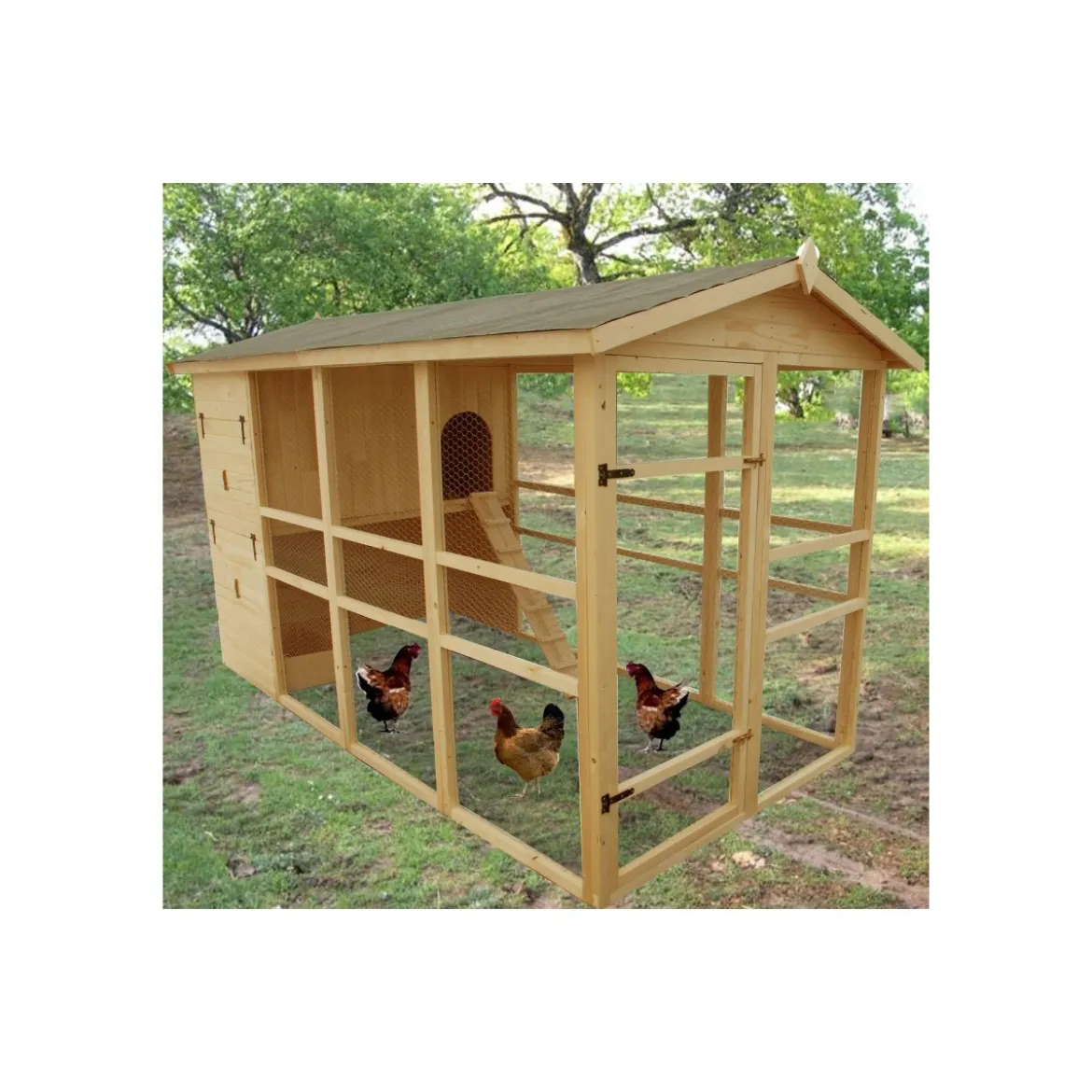 Casa Pollaio in Legno 8 12 Polli per Galline Ovaiole Prefabbricato Recinto