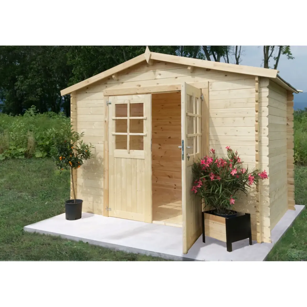 Casetta in Legno da Giardino 3x2 Blockhouse 28 mm Rimessa per Attrezzi