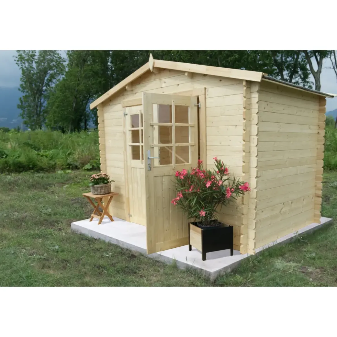 Casetta in Legno 3x3 28 mm da Giardino Rimessa per Attrezzi Blockhouse