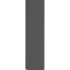 Colonna Armadio Multiuso Antracite Opaco 4 Ripiani 40x30x180 cm Moderno