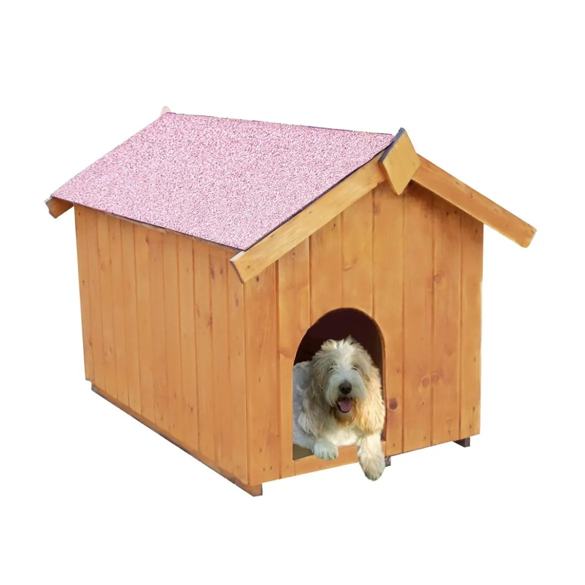 Cuccia per Cane Taglia Piccola in Legno Tetto con Pavimento Interno da Esterno