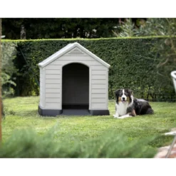 Cuccia per Cani Keter Taglia Grande Dog House in Resina