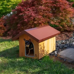 Cuccia per Cani mini 47x61x44 cm in legno per esterni