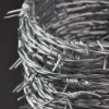 Filo Spinato Acciaio Zincato 100 Metri 2,2 mm per Recinzione Rete