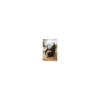 Friggitrice ad Aria 2,5L 1500W Nero Termostato Regolabile Antiaderente