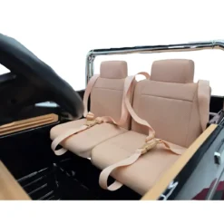 Macchina Elettrica per Bambini 24V Nero 2 Posti Ford F-150 Telecomando