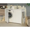 Mobile Lavatrice Coprilavatrice da Esterno con Lavandino 1 Vasca in Resina