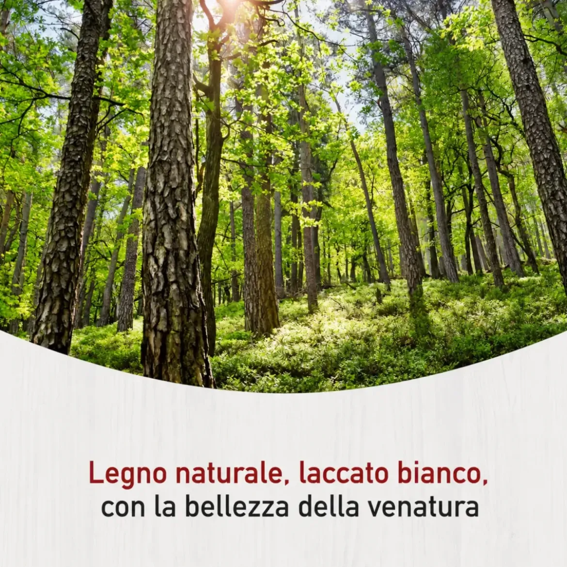 Mobile Scarpiera da Ingresso Salvaspazio 4 Ante Ribalta Legno Bianco