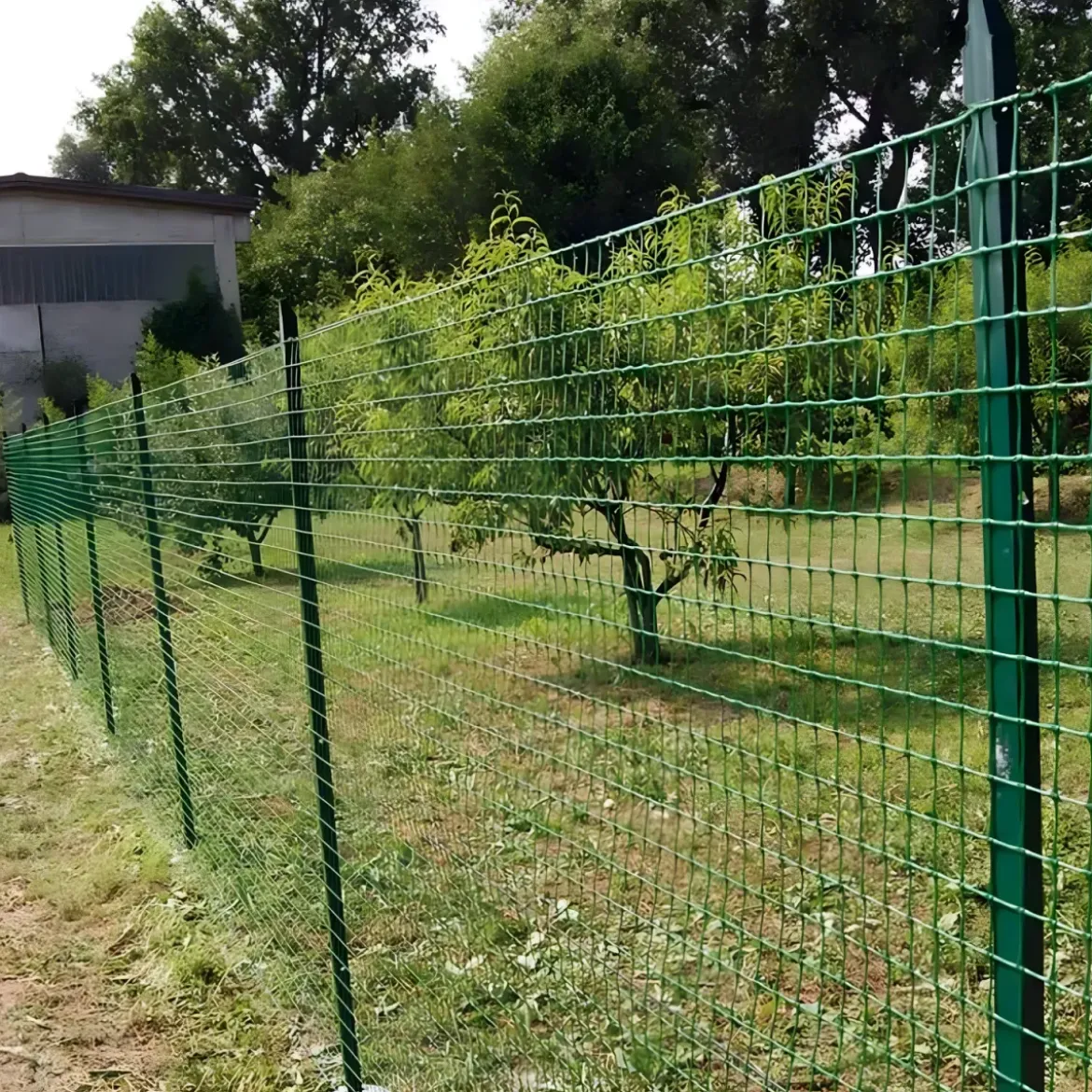10 Paletti per Recinzione Alti 200 cm 35x35 in Ferro Plastificato Verde Pali a T