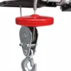 Paranco Elettrico 500W Portata 125/250kg a Fune Sollevamento 18m