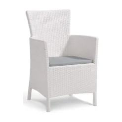 Poltrona da Giardino Terrazzo Bianco in Resina Rattan con Cuscino Grigio