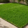 Prato Sintetico 5x1 m Drenante 40 mm Verde Effetto Erba UV Resistente