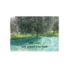 Rete per Raccolta Olive 4x8 metri con Spacco Occhielli Metallo Telo Antispina