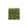 Siepe finta da Parete 50x50 Bosso decorazione
