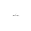 Soffione doccia inox 250X250 mm Groenlandia