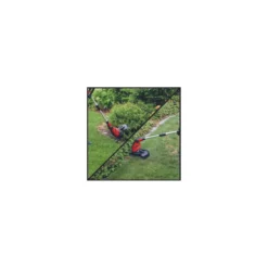 Tagliabordi Telescopico Elettrico 450W Einhell