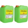 2 Taniche Bioetanolo Naturale 10L Combustibile Ecologico per Biocamini