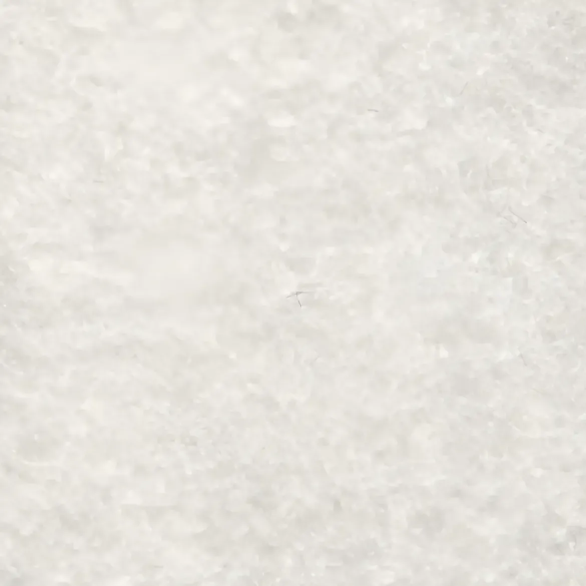 Tappeto Moquette 1x30 m Bianco Passatoia Antiscivolo da Esterno Interno