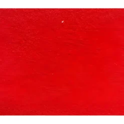 Tappeto Moquette 1x30 m Rosso Passatoia Antiscivolo da Esterno Interno