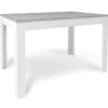 Tavolo Allungabile da Pranzo 120x80 cm Cemento e Bianco